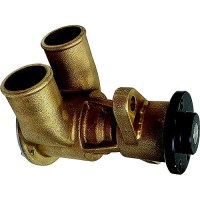 Johnson Pump 101361402 F6B-19 Flexible Impeller Pump - 10-13614-02 - 189-101361402F1