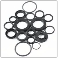 Seal Kit 200-11 Ba Std Tr Tm - HS5185 - 1-HS5185F1