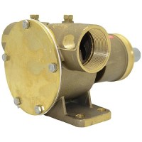 Heavy Duty Impeller Pump - 10-13021-96 - 189-101302196F1