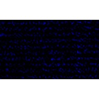 Taylor Acrylic Dock Wheel Covers, 12